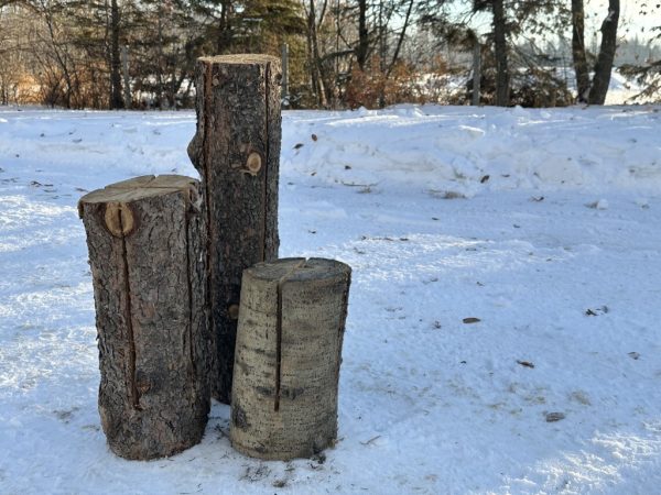 grizzly torch logs