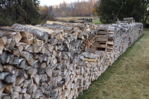 Aspen Firewood Nealty Stack