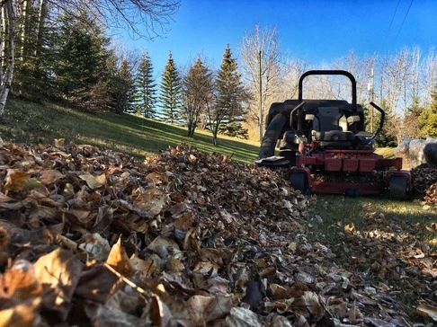 Fall cleanup