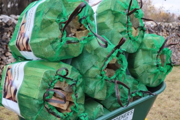 Firewood Bagged Starter