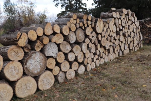 Hardwood Mix Firewood