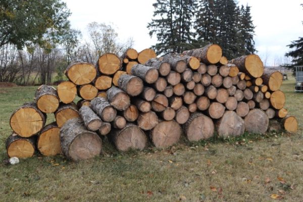 Tamarack Spruce Pine Mix logs