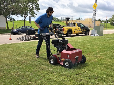 Spruce Grove lawn spring cleanup